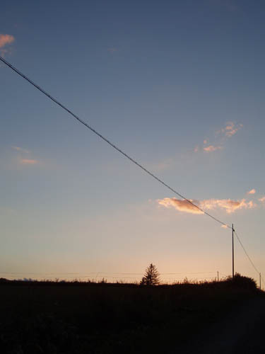 C[W