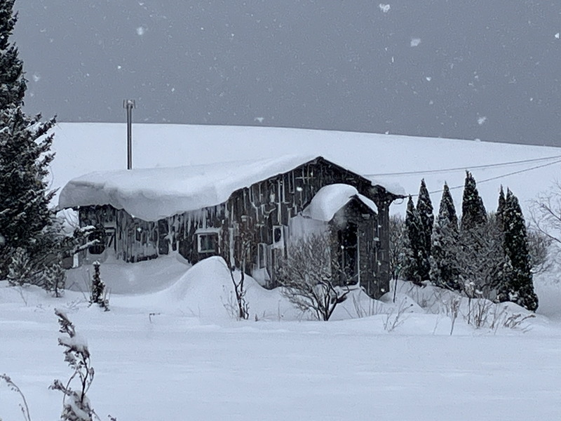 �C���[�W��