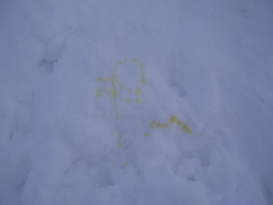C[W