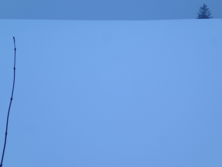 C[W