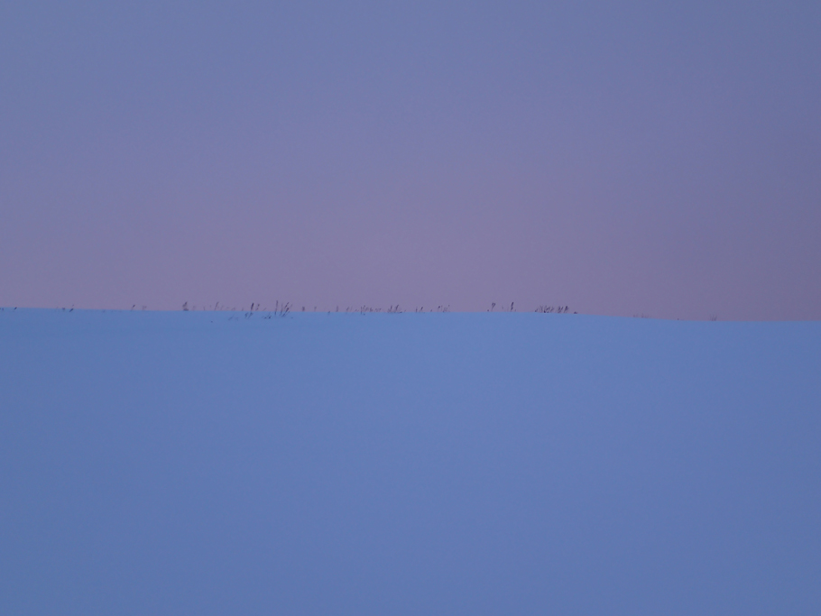 C[W