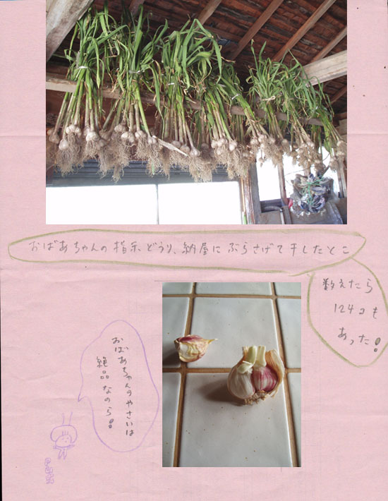 イメージ画