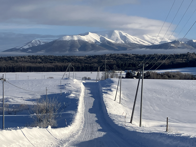 �C���[�W��