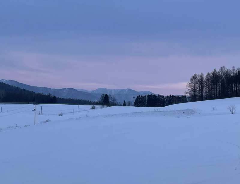 �C���[�W��